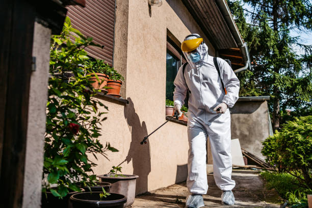 Best Local Pest Control Services  in Chattahoochee, FL