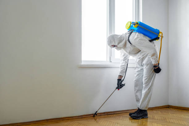 Best Exterminator Services  in Chattahoochee, FL