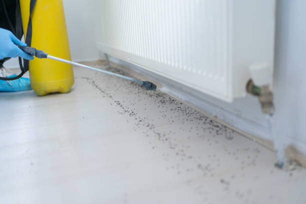 Professional Pest Control in Chattahoochee, FL