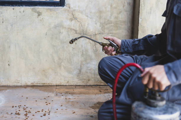 Best Residential Pest Control  in Chattahoochee, FL