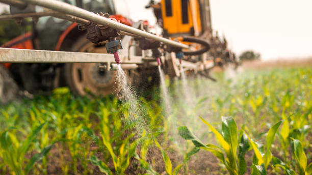 Best Commercial Pest Control Services  in Chattahoochee, FL