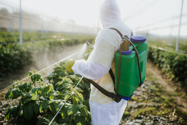 Best Pest Removal Services  in Chattahoochee, FL